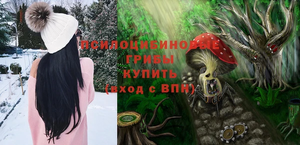 PSILOCYBIN Пролетарск