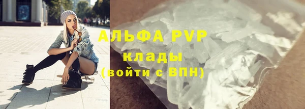 стафф Надым
