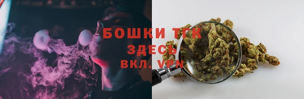 молекула духа Костерёво