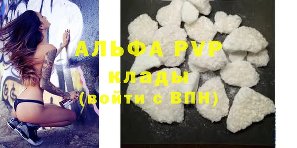 стафф Надым