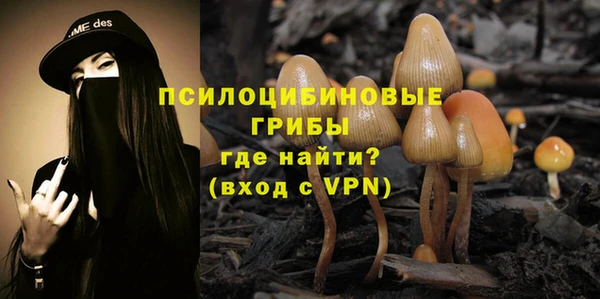 кокс Корсаков