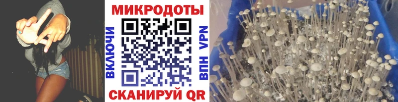 магазин продажи наркотиков  Власиха  Галлюциногенные грибы мицелий 